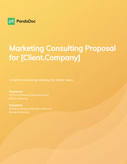 Merchandising Consulting Proposal Original