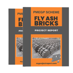 pmegp scheme fly ash bricks project report with double cover leaf our set