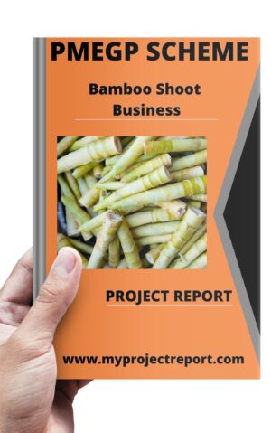 bamboo Shoot project report cover in reach
