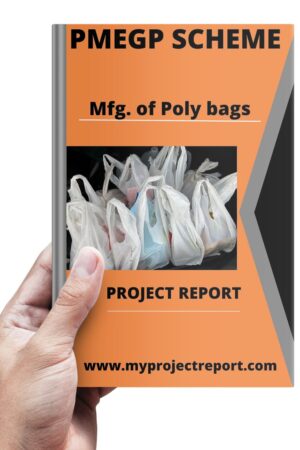 Comprehensive Project Report on Polythene Bags