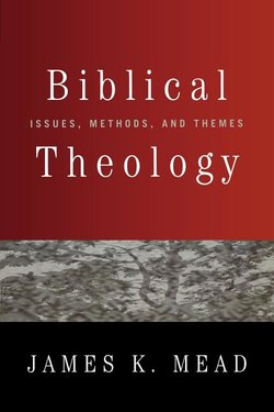 Biblical Study Issues Our & Themes